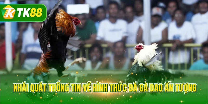 Khái quát thông tin về hình thức đá gà dao ấn tượng