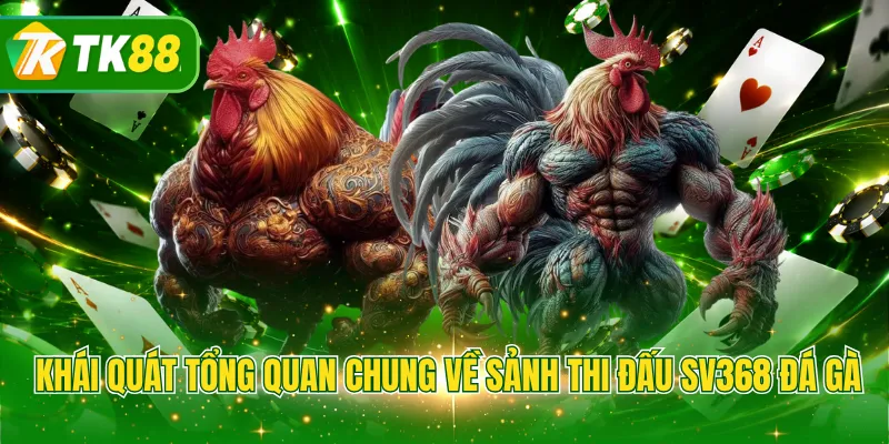 Khái quát tổng quan chung về sảnh thi đấu SV368 đá gà